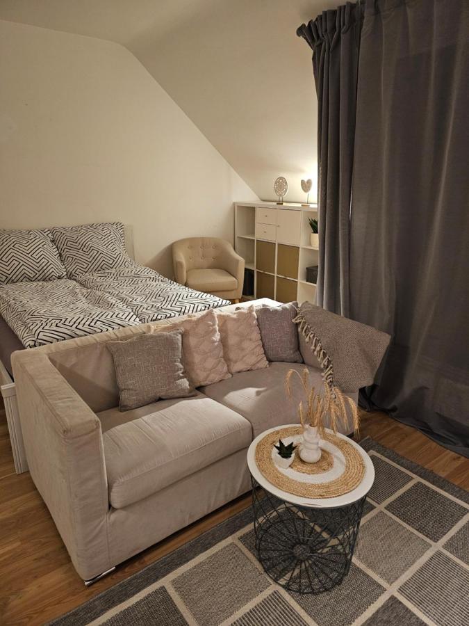 Modern Studio Near Duesseldorf Airport & Messe/Fair Меербуш Екстериор снимка